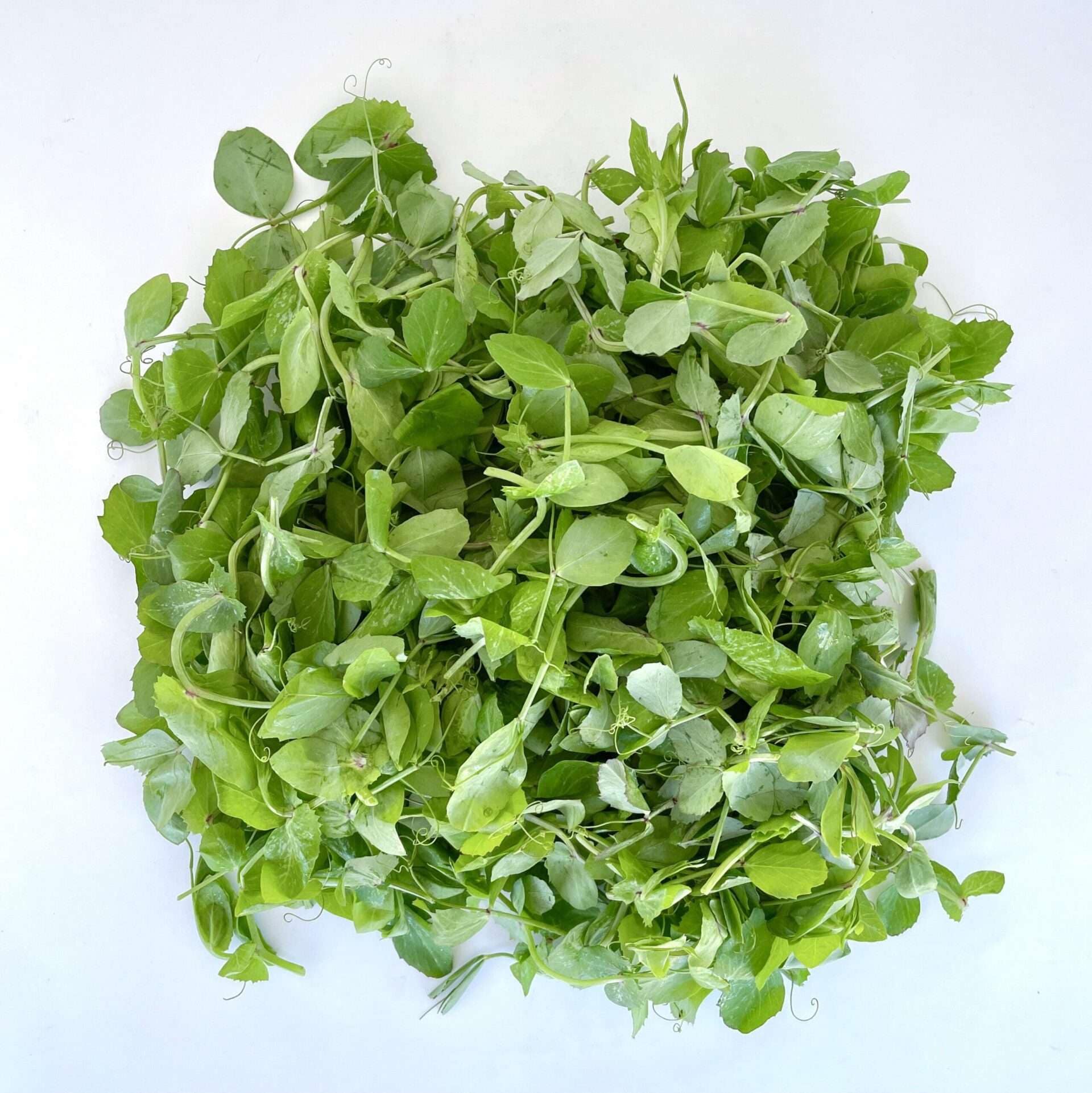 pea shoots available in Arusha,Tanzania in Sambazah