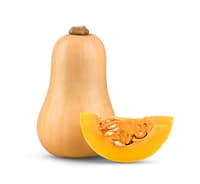 butternut-squash-sambazah