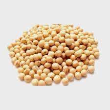 Njugu Mawe nutstone available in Arusha,Tanzania in Sambazah