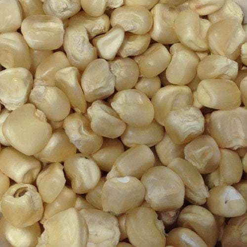 Mahindi meupe-maize available in Arusha,Tanzania in Sambazah