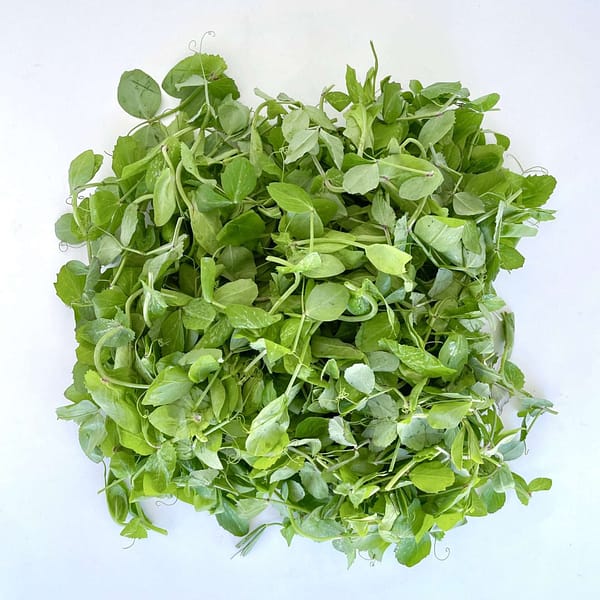 pea shoots available in Arusha,Tanzania in Sambazah
