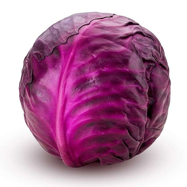 red cabbage sambazah available in Arusha,Tanzania in Sambazah