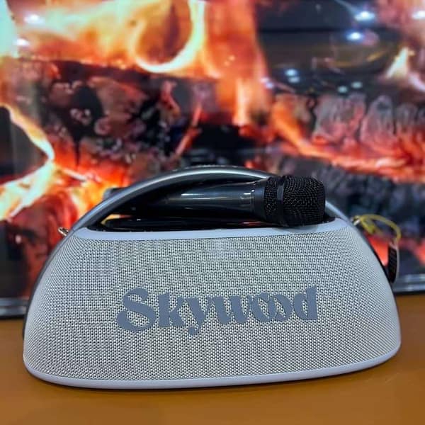 Skywood Boom box 2 Tanzania - Tsh 280000 now available in Sambazah in Tanzania